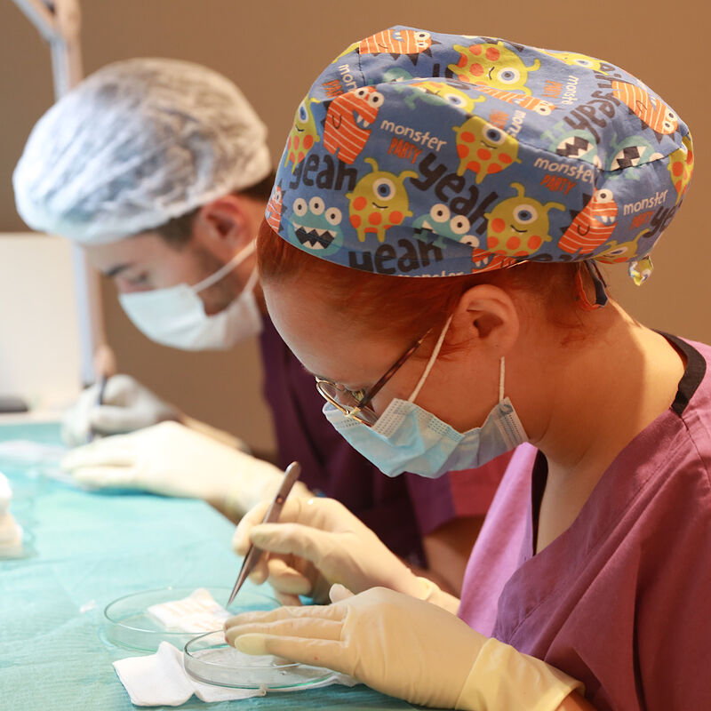 Jelmer, 100% vertrouwen in haartransplantatie resultaat