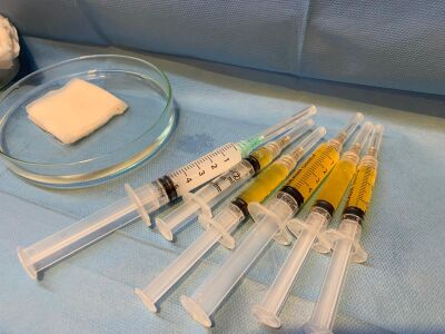 Acell stamcel naar Europa door Esteworld